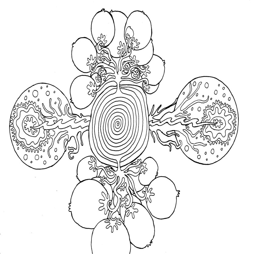 Spectral Remembrances In Light