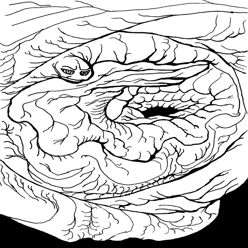 1. When You Look into a Hole the Hole Will Look into You Cover Artwork