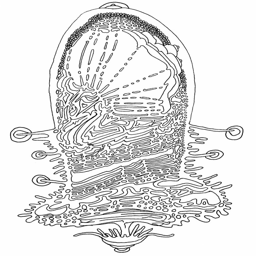 2. Hidden Pathways cover art