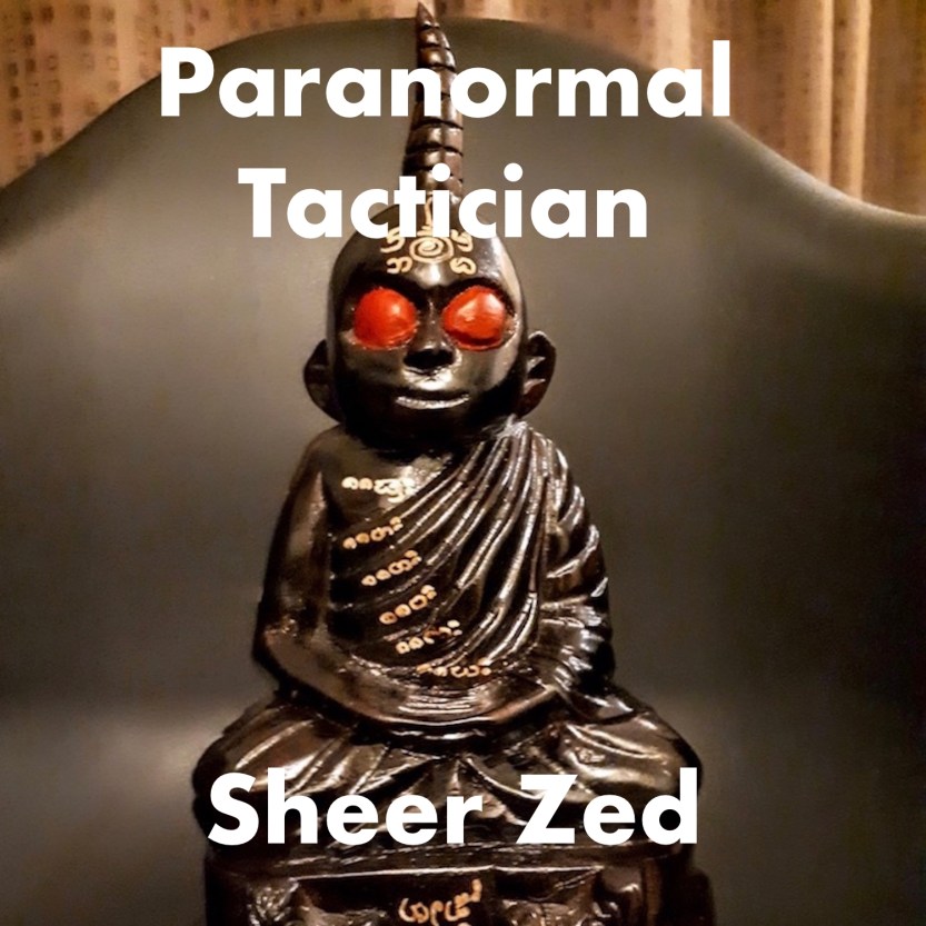 Paranormal Tactician Cover Art by Sheer Zed